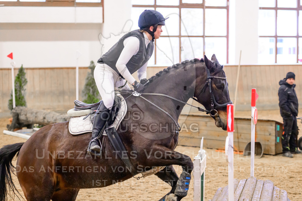 29032026-Schwaiganger-Prfg03-2-1287 | Fokus Hufschlag Fotografie - Realisiert mit Pictrs.com