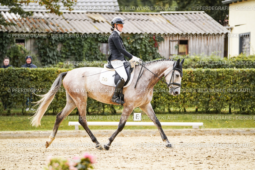 DSC01461 | Pferdegrafie