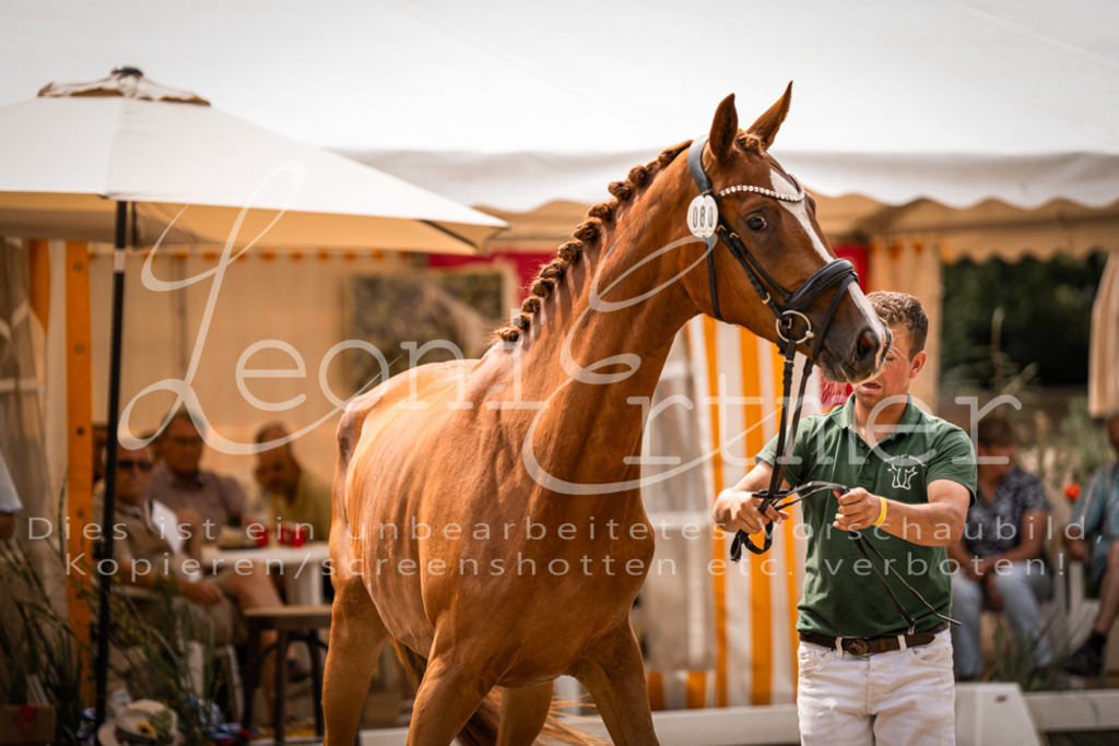 4.Fr00161 | Leoni Ertmer Photography - Realisiert mit Pictrs.com