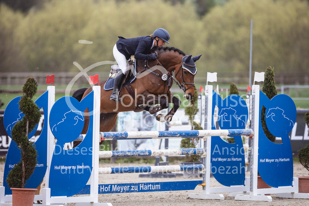 250417_Springpferde-L1-262 | Deine schönsten Turniermomente als professionelle Fotos! Entdecke hochwertige Pferdesport-Fotografie im Online-Shop. Jetzt Fotos finden & bestellen!