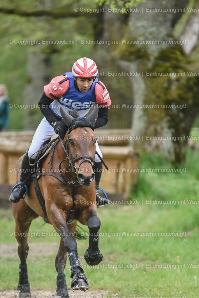 20230513_CCI4_Gelände_0103 | equistock
