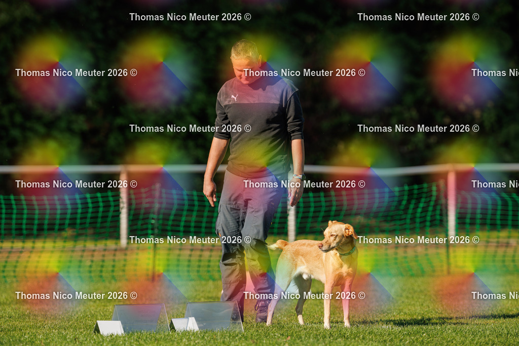 Thomas_Nico_Meuter(C)_04. Oktober 2026_223A4033 | Bild von Thomas Nico Meuter - Realisiert mit Pictrs.com