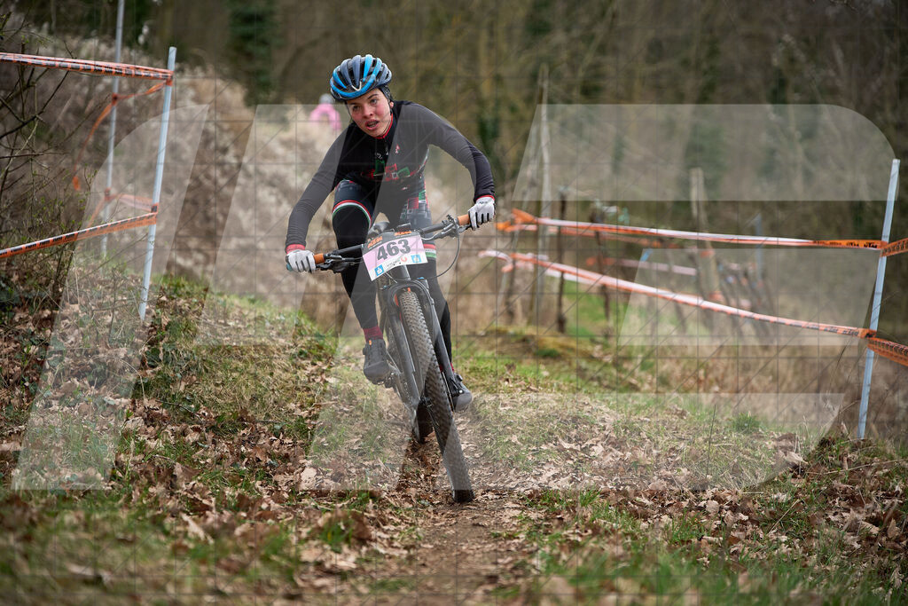 34. KTM Kamptal Trophy  | ZÖBING, Österreich – 2026-03-28: 34. KTM Kamptal TrophyFoto: © 2026 Martin Bihounek - MB Creative e.U.