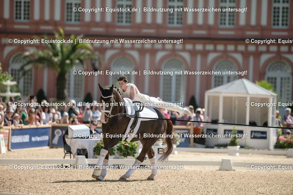 20230528_Voltigieren_NASPA_0061 | equistock