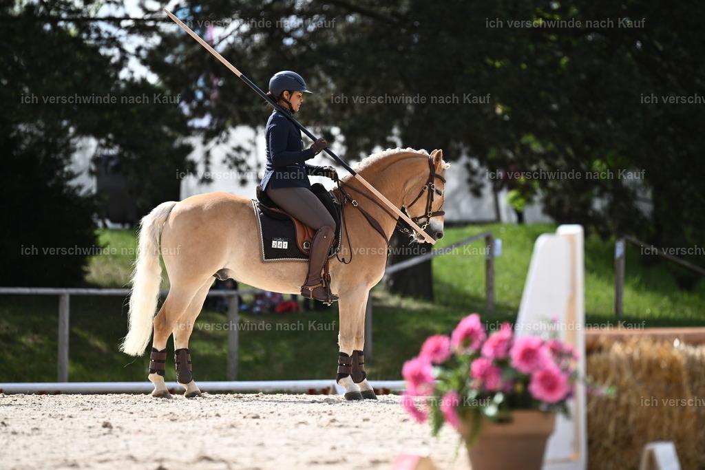 PI26_ST_Sara_Landvogt226_2285.JPG | working equitationturnier fotograf videograf stoibphotography marixx film working equitation deutschland reitsport turnierfotografie eventfotografie equestrian events