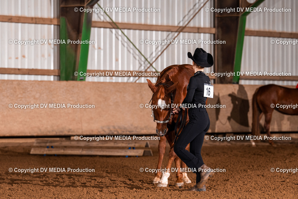 Balingen Tag 1-1399 | dv-media-shop - Realisiert mit Pictrs.com