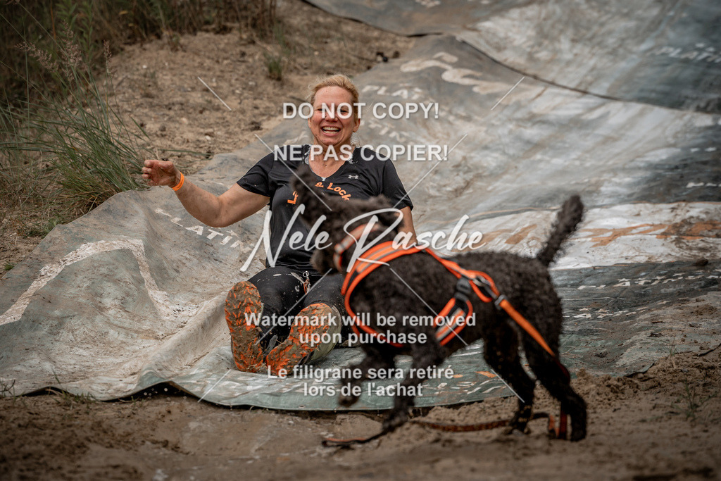 nelerasche_sa1100-1200_407 | nelerasche