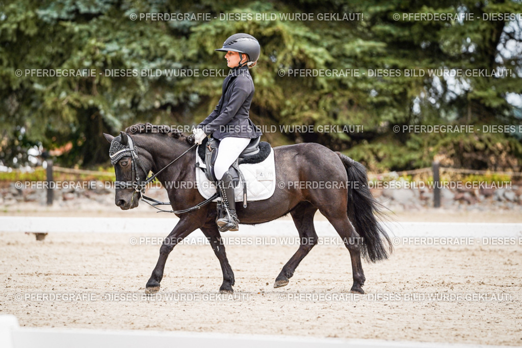 DSC02842 | Pferdegrafie