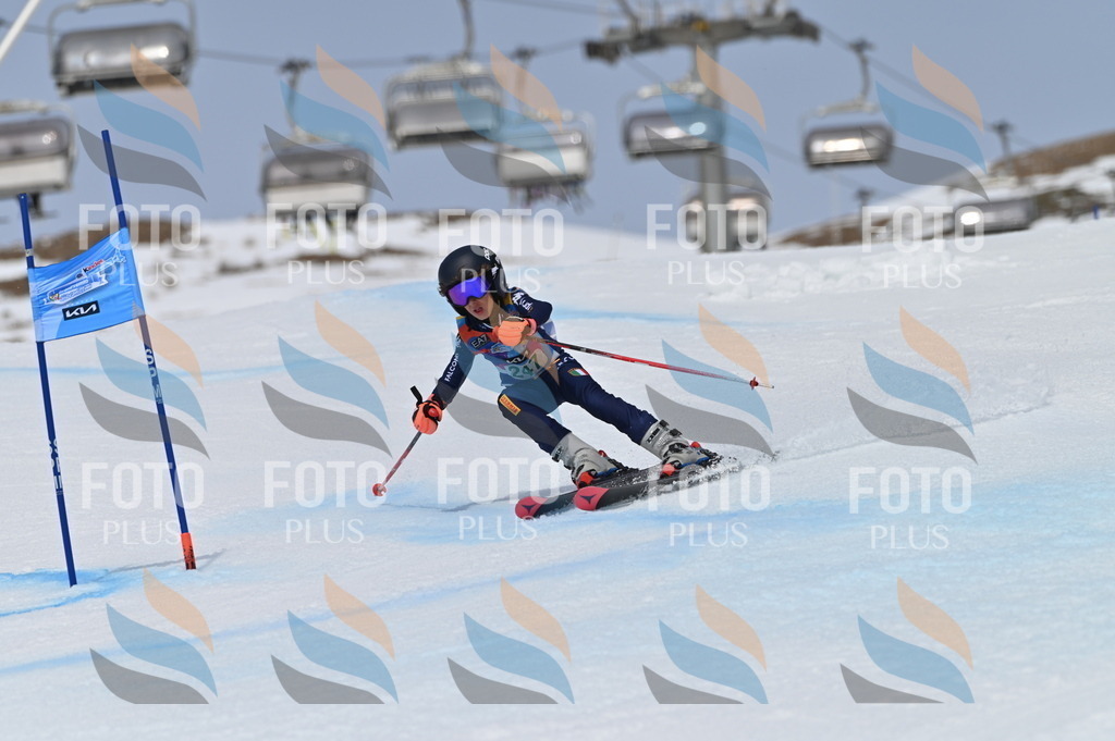 BGV_4897 | holidayphoto