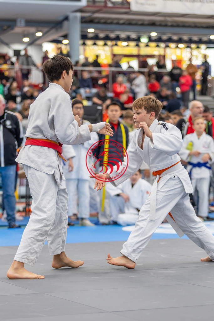 Internationaler Adler Cup 2024 | Foto vom Internationalen Adler Cup Judo Turnier im Sport- und Freizeitzentrum Kalbach im Oktober 2024 - Realisiert mit Pictrs.com