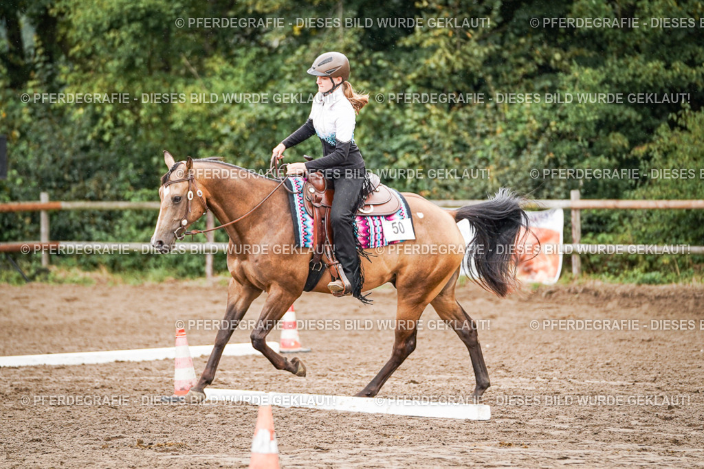 DSC04554 | Pferdegrafie