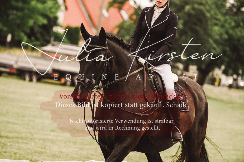 DSC_4982 | Pferde- und Turnierfotografie in Westsachsen. Pferdeportraits, Auftragszeichnungen und intuitive Kunst.