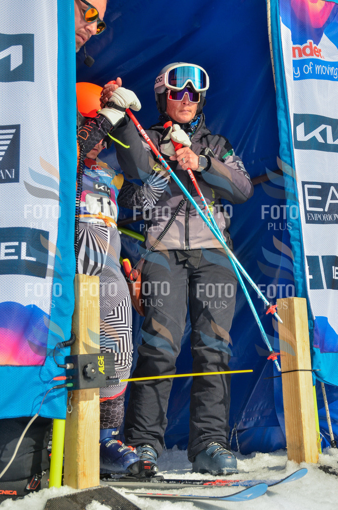 _ELE4561 | holidayphoto