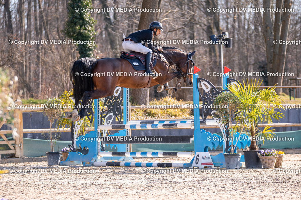 Kranichstein Tag 1-304 | dv-media-shop - Realisiert mit Pictrs.com