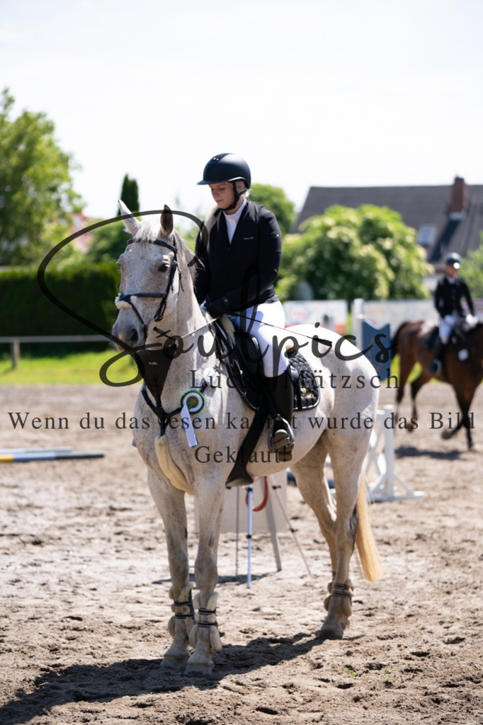 A7V04357 | Pferdefotograf