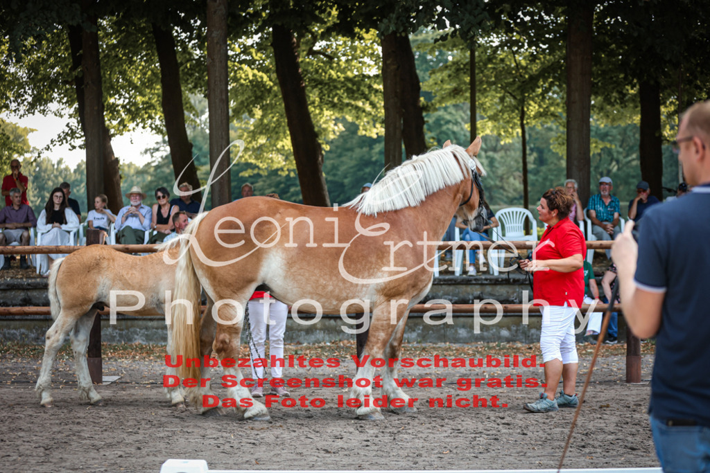 FrKHF00067 | Leoni Ertmer Photography - Realisiert mit Pictrs.com