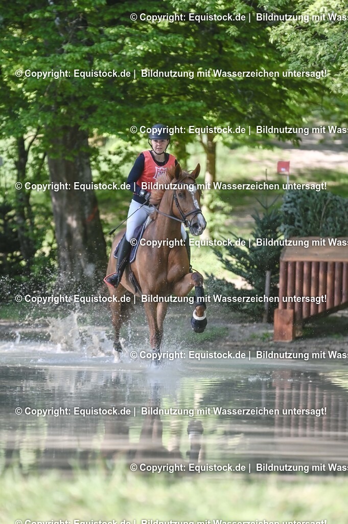 20250517_CCI2_Gelände_0306 | Foto: Thomas Hartig