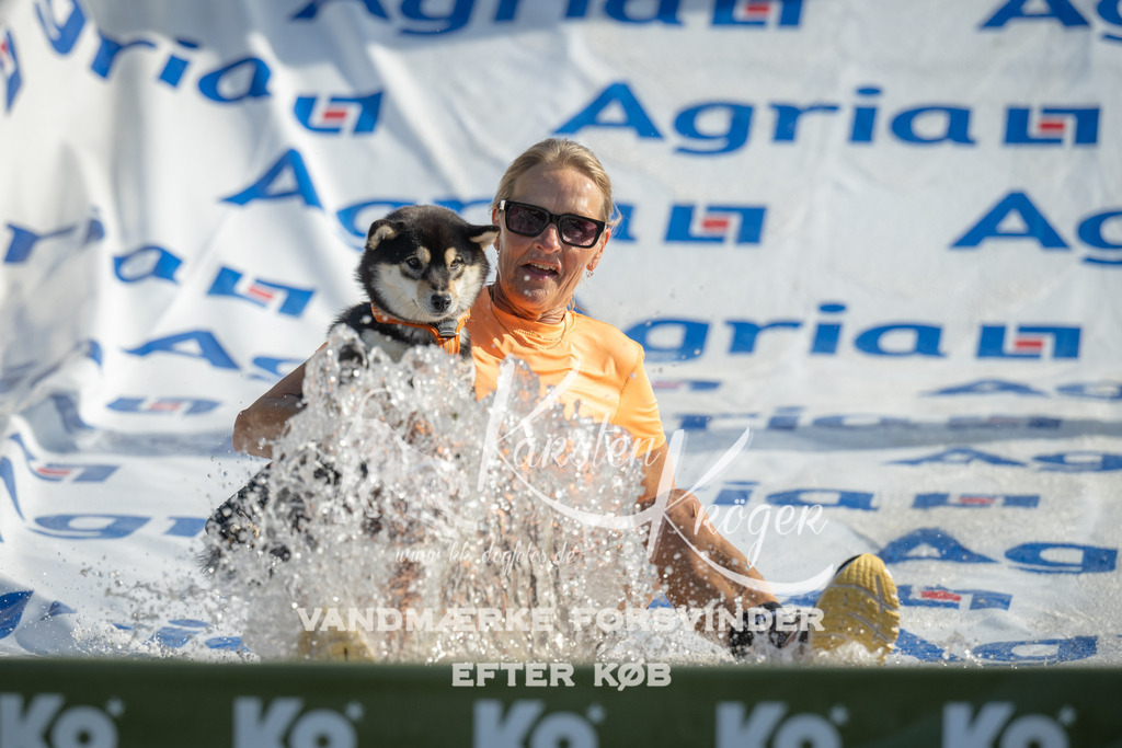 0930_ZZ96116 | kk-dogfotos