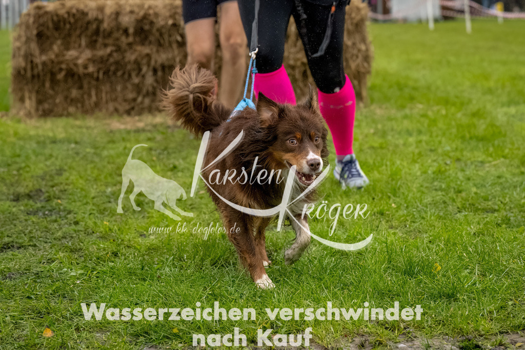 1010-2-4 | kk-dogfotos