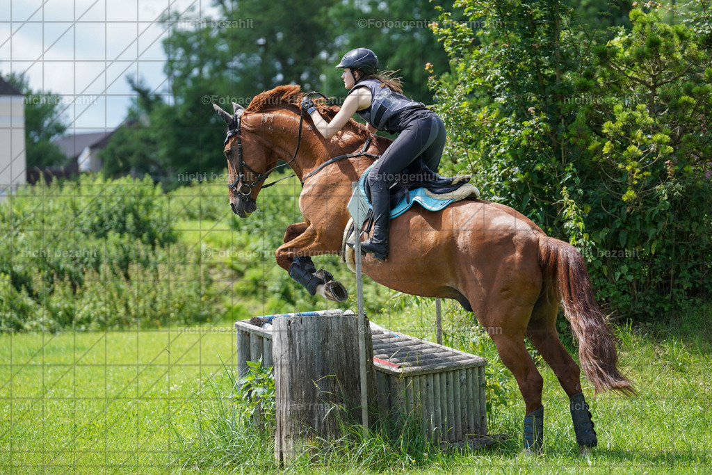 20240622-FAH06780 | Turnierfotografen Bayern, Reitsportbilder aus dem Geländekurs mit Felix Etzel auf dem Gut Waitzacker 2024