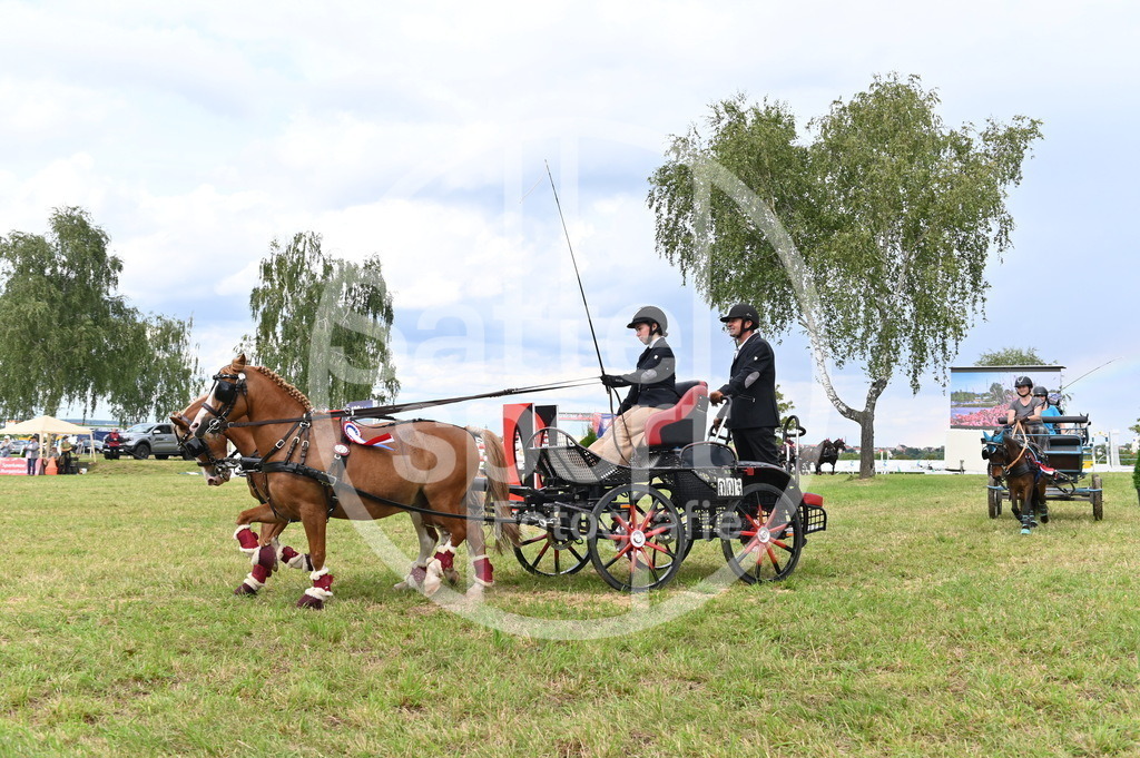 DSC_4666 | sattelsport - Realisiert mit Pictrs.com