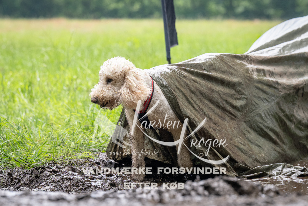 1120_ZZ92568 | kk-dogfotos