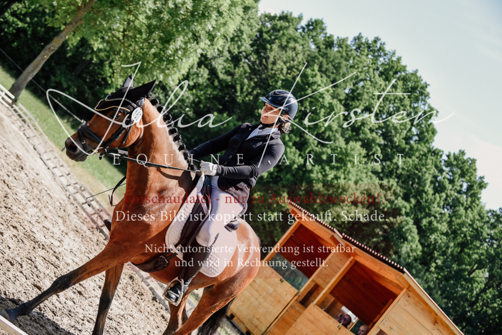 DSC_1882 | Pferde- und Turnierfotografie in Westsachsen. Pferdeportraits, Auftragszeichnungen und intuitive Kunst.