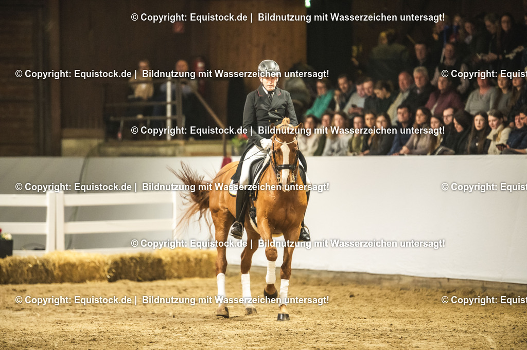 20240302_Hengstvorstellung_Marbach_TOMsPiC_0887 | equistock