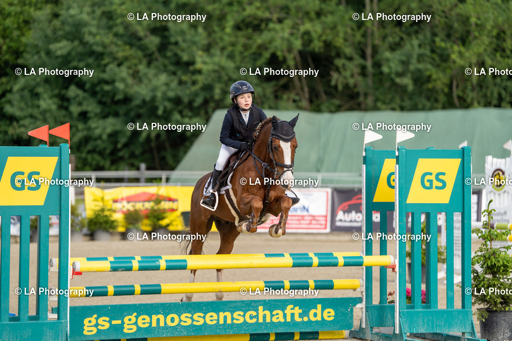 DSC03633 | Entdecke einzigartige Turnierfotos und persönliche Pferde- und Hundeportraits bei LA Photography. Für jeden Reiter und Pferd das perfekte Bild! Stöbere jetzt! - Realisiert mit Pictrs.com