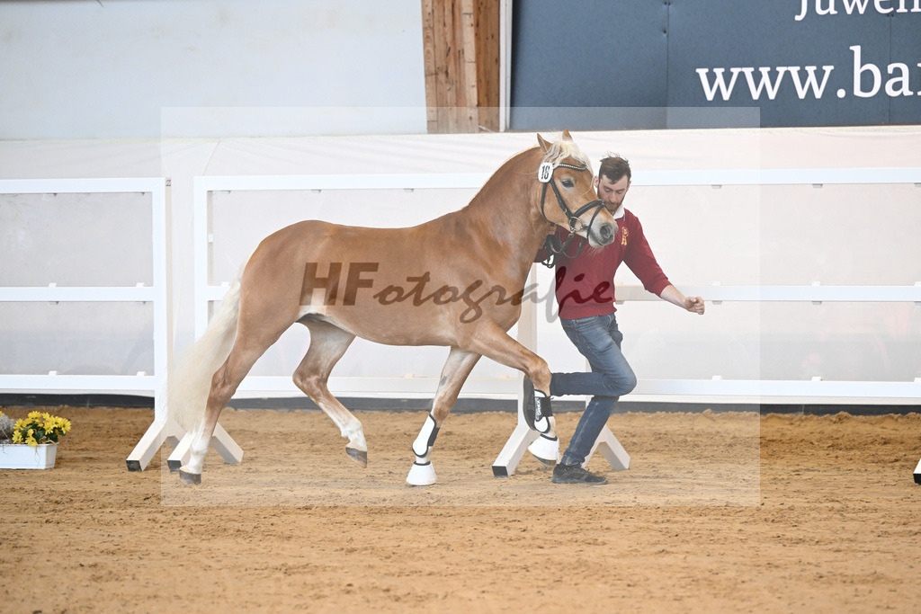 Kat-Nr. 18 v. Akitano_Mueller_2230297 | hf-fotografie - Realisiert mit Pictrs.com