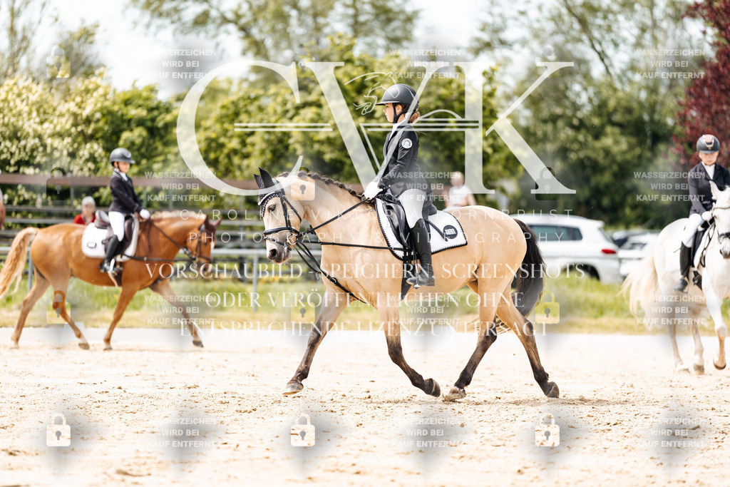 CK902462 | Turnierfotografie Pferdefotografie Trier Rheinland-Pfalz Pferdesport Reitsport Tierfotografie Sportfotografie Pferdevideo Pferdevideografie Equestrianvideography equestrianphotography  - Realisiert mit Pictrs.com