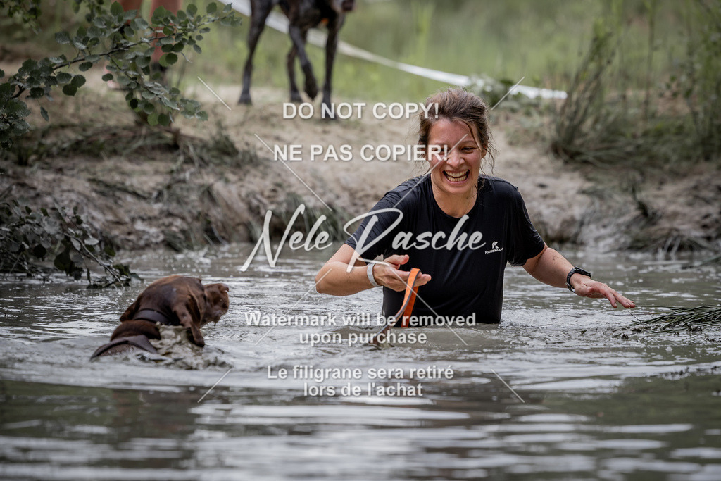 nelerasche_so0800-0930_334 | nelerasche