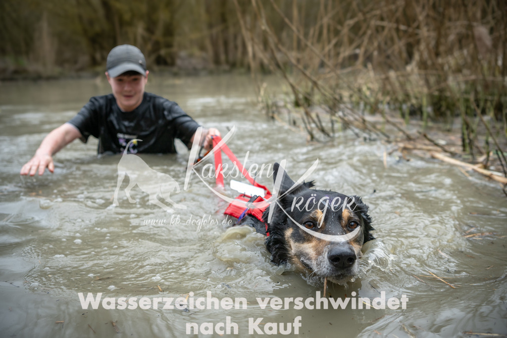 1527_ZZ93093 | kk-dogfotos