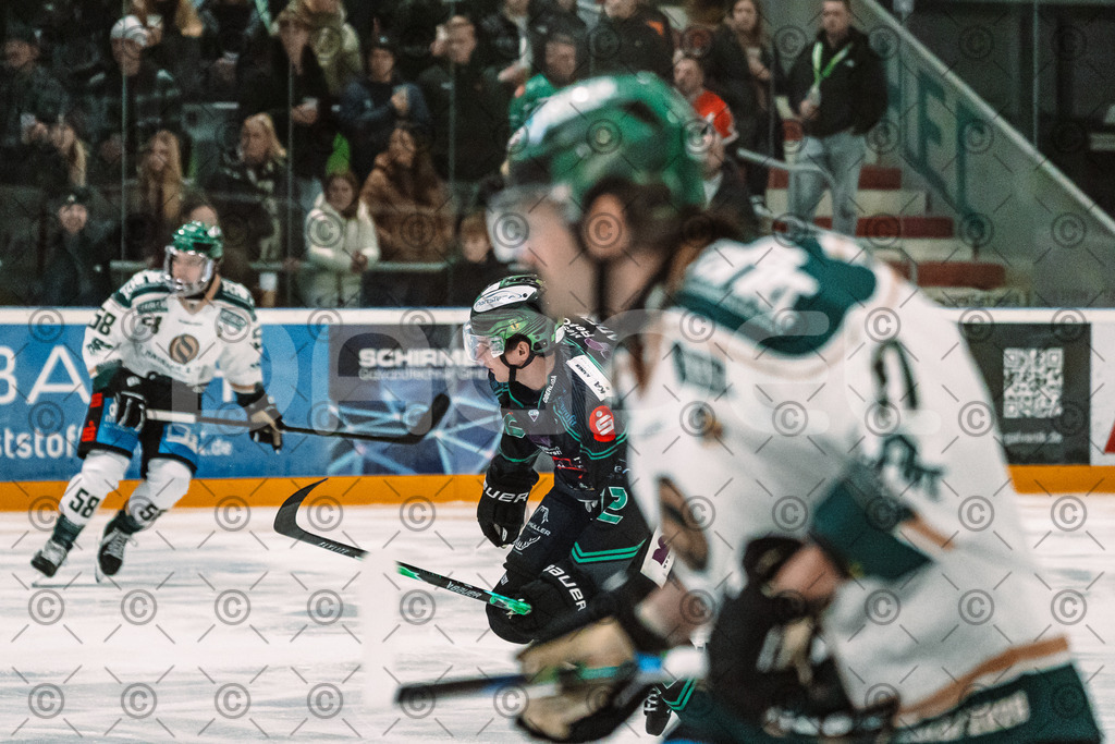 Alligators_vs_Erding_12_12_2025-041 | Höchstadt Alligators Fotogalerie: Eishockey-Action aus Franken. Professionelle Spielfotos, Portraits & Stadionbilder zum Download. Jetzt entdecken! - Realisiert mit Pictrs.com