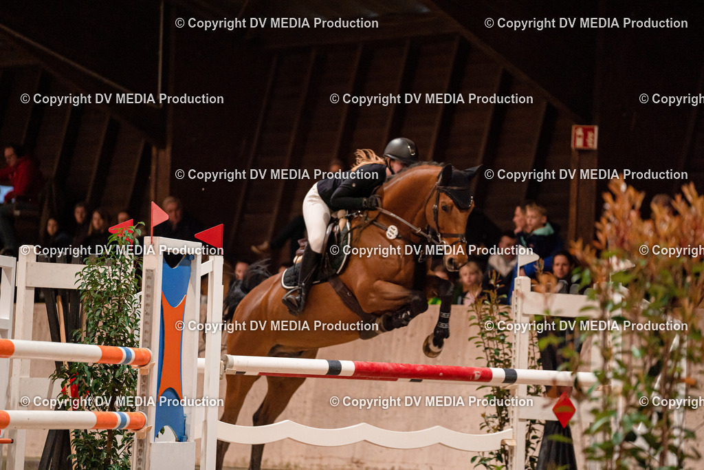 Springen Tag 2-725 | dv-media-shop - Realisiert mit Pictrs.com