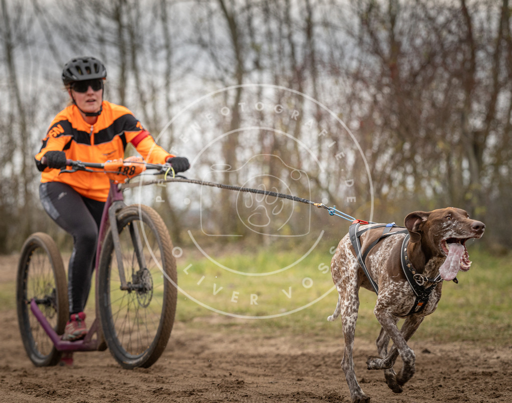 Pfotenfotografie_DV3A9879 | Hundefotografie, Tierfotograf, Pfotenfotografie, Fotoshooting Hund, Hunde Portrait, Hundesport, Hundeportraits, Heideshooting, Hunde, Sportfotograf, Hundefotograf, Turnierhundsport, THS,  - Realisiert mit Pictrs.com