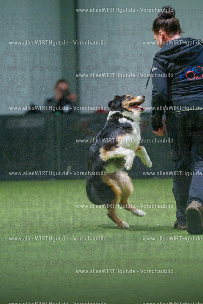 7R506911 | Professionelle Tierfotografie in Mönchengladbach von Daniel Wirth (allesWIRTHgut). Liebevolle & natürliche Bilder von Hunden & Katzen für unvergessliche Erinnerungen.