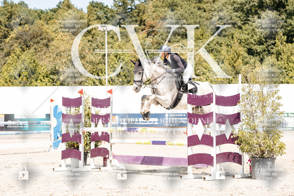 CK900928 | Turnierfotografie Pferdefotografie Trier Rheinland-Pfalz Pferdesport Reitsport Tierfotografie Sportfotografie Pferdevideo Pferdevideografie Equestrianvideography equestrianphotography  - Realisiert mit Pictrs.com