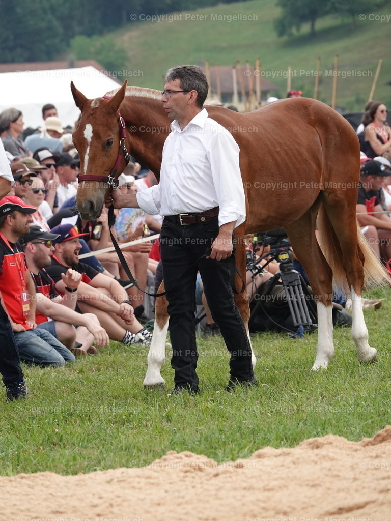 DSC04991 | Schwingen - Realisiert mit Pictrs.com