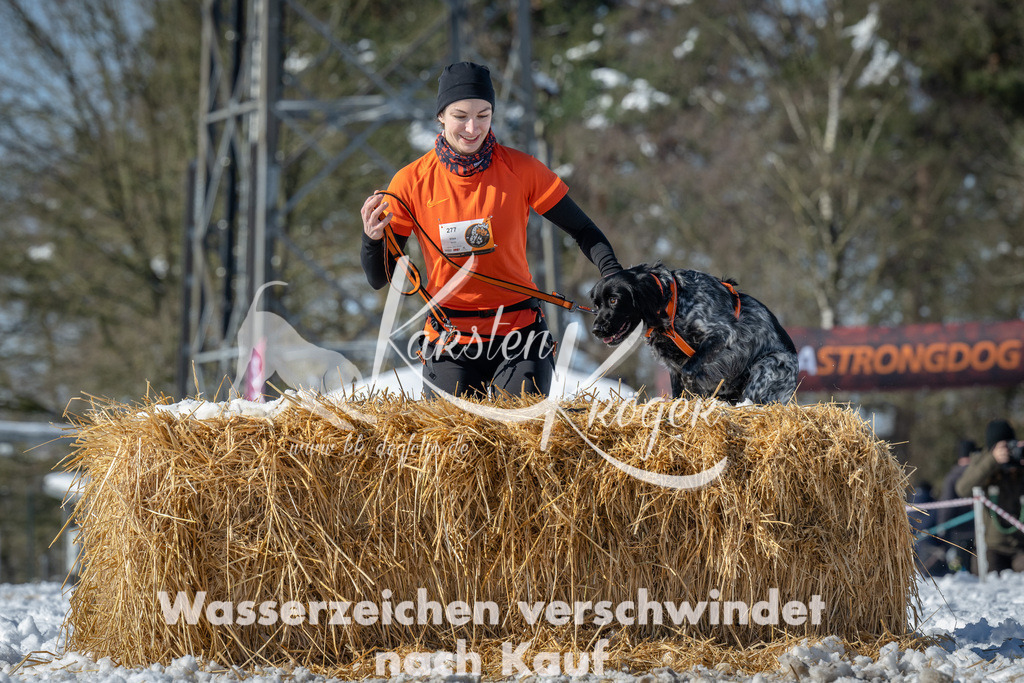 1215_ZZ92187-4 | kk-dogfotos