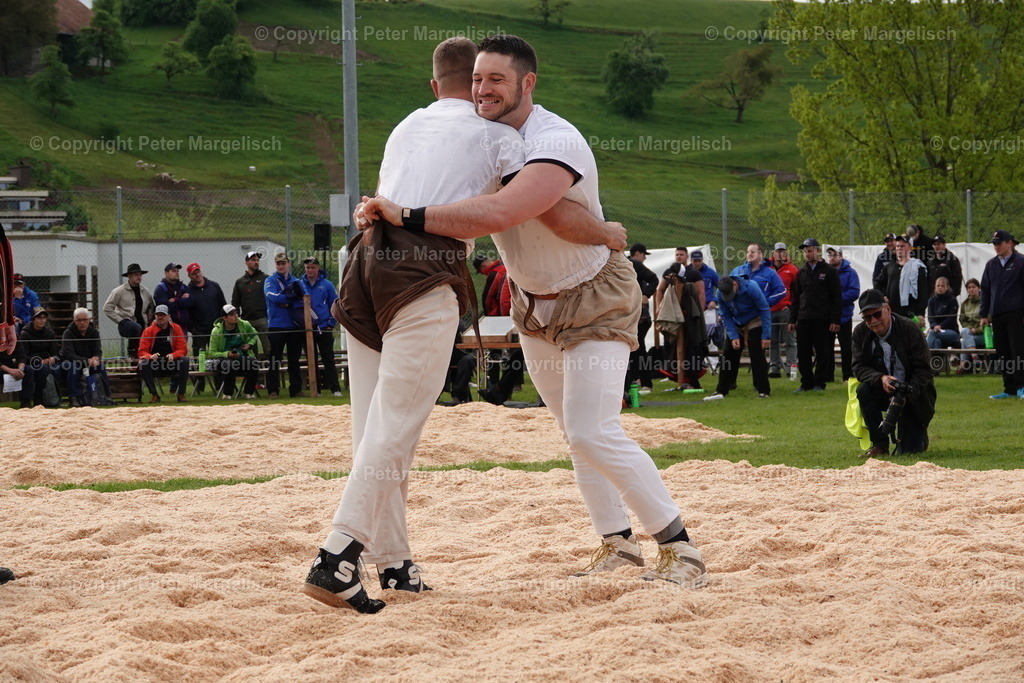 DSC00637 | Schwingen - Realisiert mit Pictrs.com