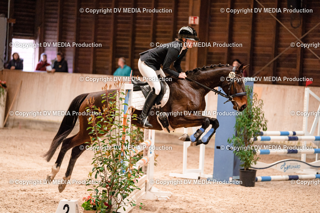 Springen Tag 2-487 | dv-media-shop - Realisiert mit Pictrs.com