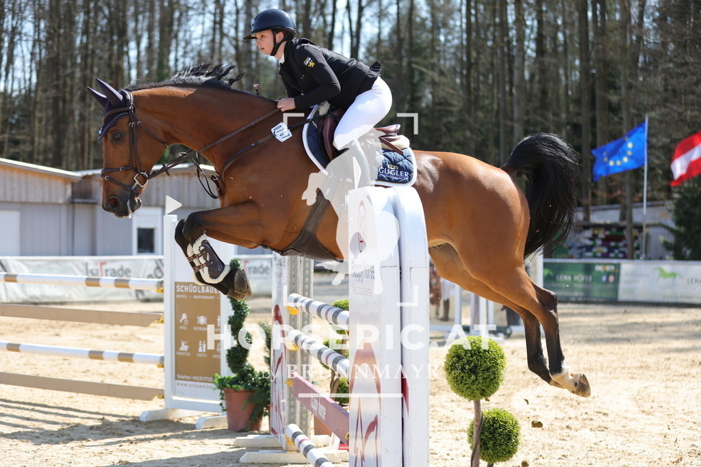 0P6A1527 | Willkommen bei Brunnmayr - Design & Fotografie – Ihrem Spezialisten für Reitturniere und Pferdeveranstaltungen in Oberösterreich, Salzburg und Bayern! Seit über 17 Jahren sind wir leidenschaftlich dabei.