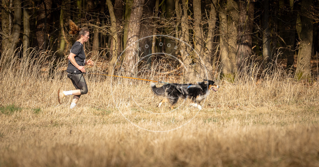 DV3A5588 | Hundefotografie, Tierfotograf, Pfotenfotografie, Fotoshooting Hund, Hunde Portrait, Hundesport, Hundeportraits, Heideshooting, Hunde, Sportfotograf, Hundefotograf, Turnierhundsport, THS,  - Realisiert mit Pictrs.com