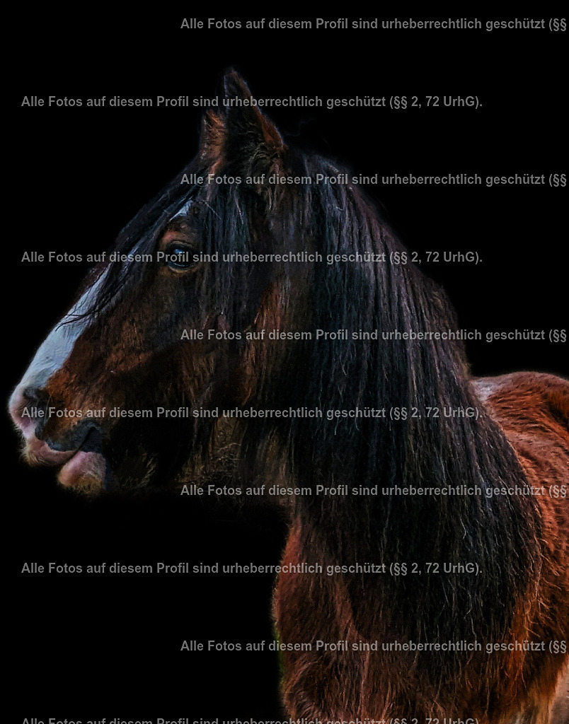 1711389813735_2 | krollfotografie - Realisiert mit Pictrs.com