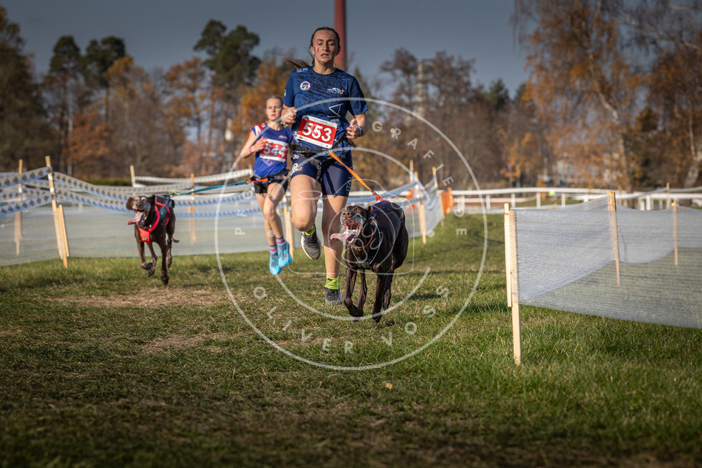 CaniXpix_0L8A9077 | Hundefotografie, Tierfotograf, Pfotenfotografie, Fotoshooting Hund, Hunde Portrait, Hundesport, Hundeportraits, Heideshooting, Hunde, Sportfotograf, Hundefotograf, Turnierhundsport, THS,  - Realisiert mit Pictrs.com