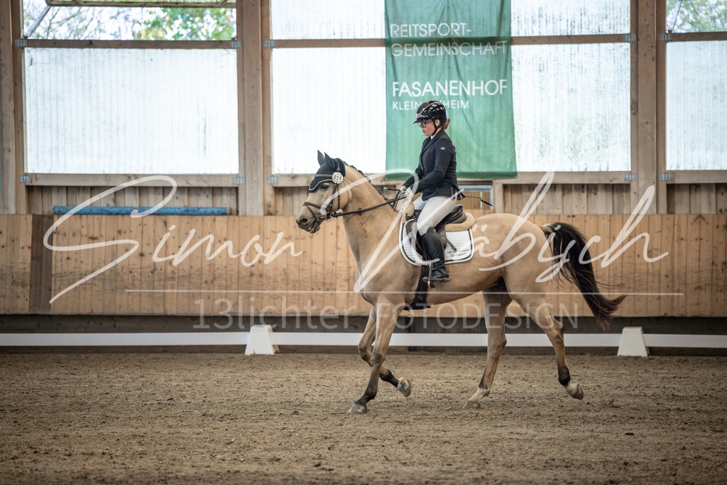 20251011-_3LI5985 | Tierfotografie Pferde, Hunde, Katzen, Haustiere.
Turnierfotografie Reitturniere, Reiten, Springreiten, Dressur in Hanau, dem Main-Kinzig-Kreis und dem Rhein-Main- Gebiet um Frankfurt