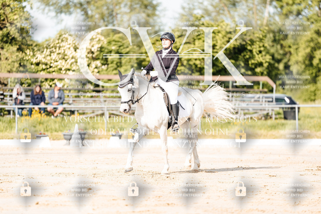 CK900046 | Turnierfotografie Pferdefotografie Trier Rheinland-Pfalz Pferdesport Reitsport Tierfotografie Sportfotografie Pferdevideo Pferdevideografie Equestrianvideography equestrianphotography  - Realisiert mit Pictrs.com