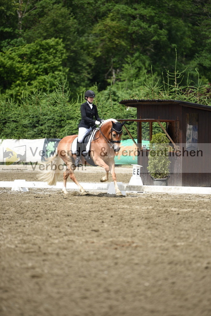 DSC_0669 | equestrian-live-com