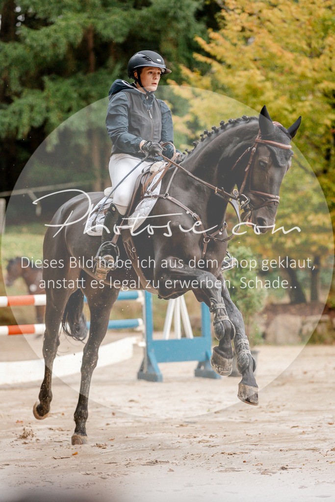 3I6A5543 | Stimmungsvolle Portraits und Reitsportfotografie im Ruhrgebiet und im Münsterland.

Pferdefotografie, Hundefotografie, Tierfotografie, Reportagen, Portraits von Tier und Mensch, Turnierfotografie in Bochum, Recklinghausen, Marl, Haltern am See, Dülmen.. - Realisiert mit Pictrs.com